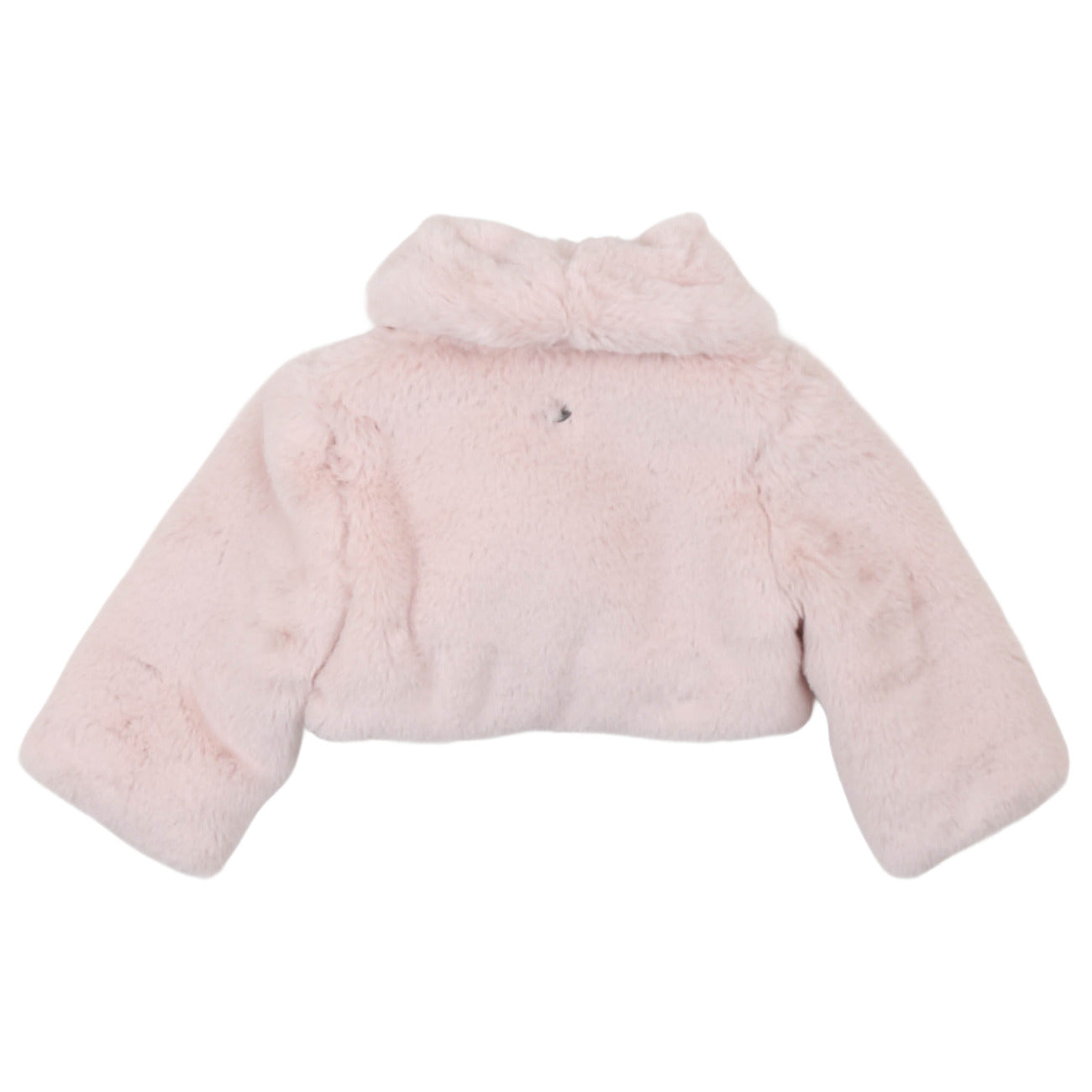 carlo pignatelli - GIACCHINO PELLICCETTA