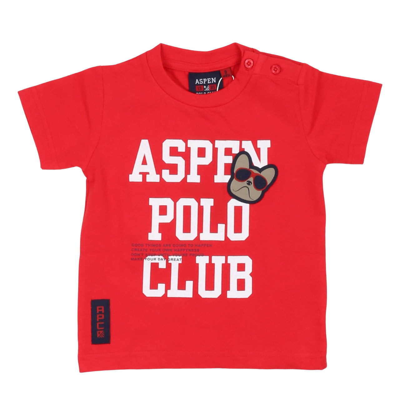 aspen polo club - T-shirt